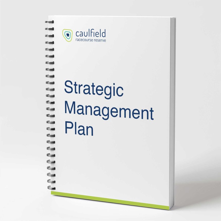 Strategic Management Plan